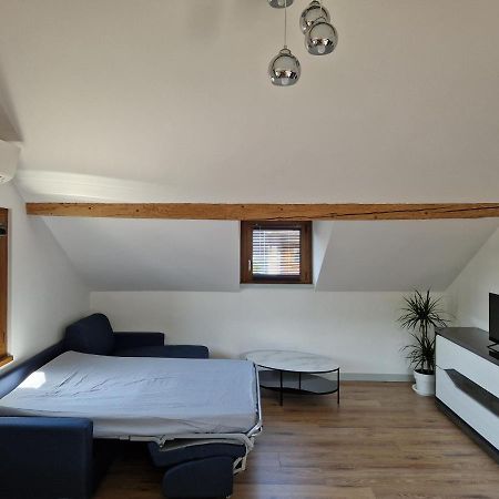 Appartement F2 A 1Mn Du Lac アンフィオン・レ・バン エクステリア 写真