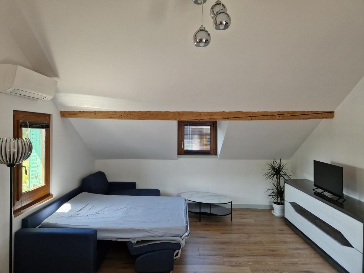 Appartement F2 A 1Mn Du Lac アンフィオン・レ・バン エクステリア 写真